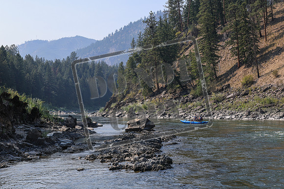 20250822-IMG_1333