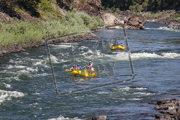 20240708-IMG_8290