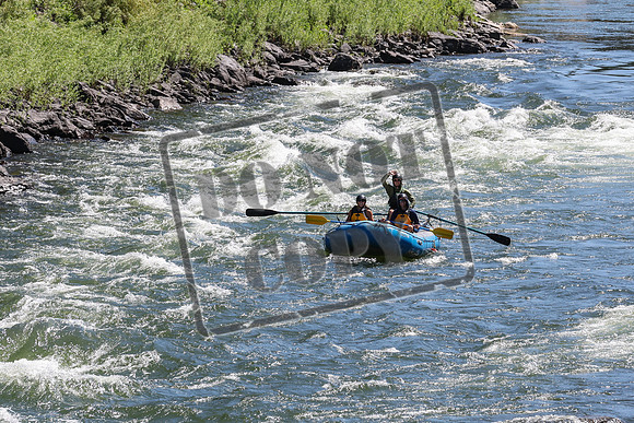 20240712-IMG_3001