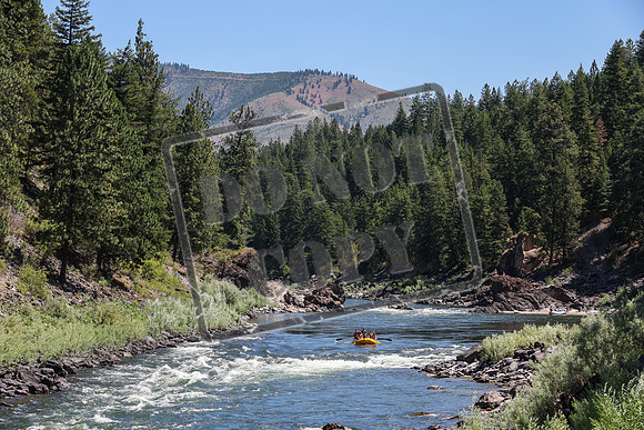 20240712-IMG_3508