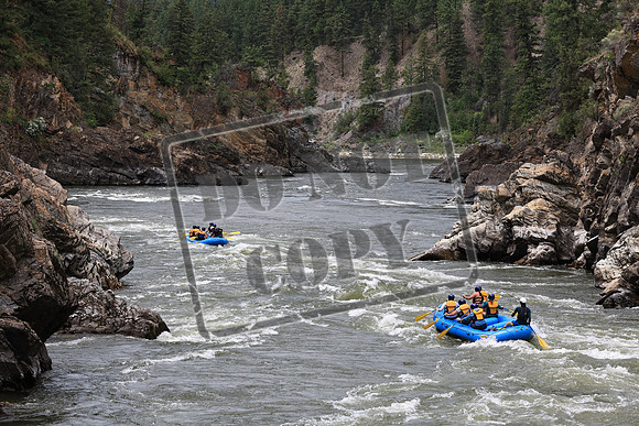 20220709-IMG_9473