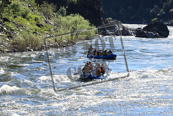 20220709-IMG_7821