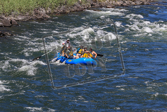 20250701-IMG_8180