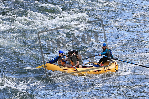 20220806-IMG_1378