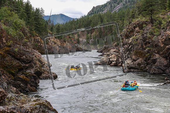 20240618-IMG_1467