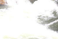 20110831-20110831-IMG_9937