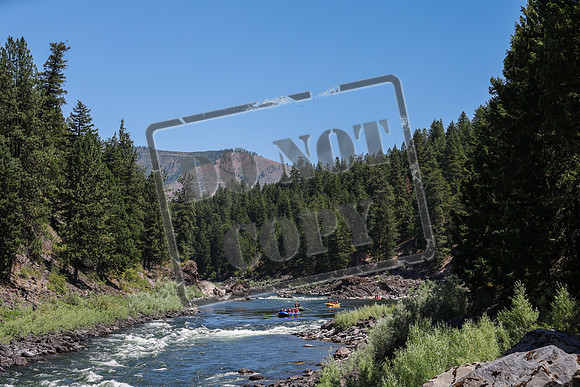 20240713-IMG_7677