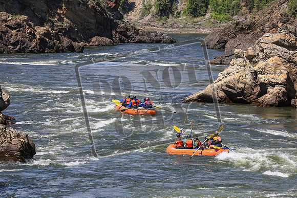 20250614-IMG_8195