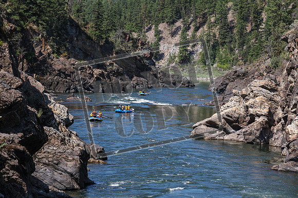 20240715-IMG_4398