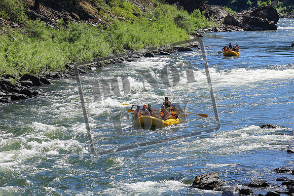 20250706-IMG_0998