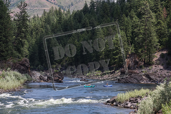 20240704-IMG_6462