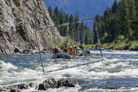 20250810-IMG_0708