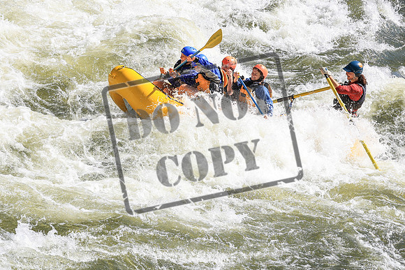 20250525-IMG_6732