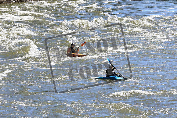 20220712-IMG_4514