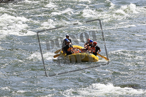 20220718-IMG_1411