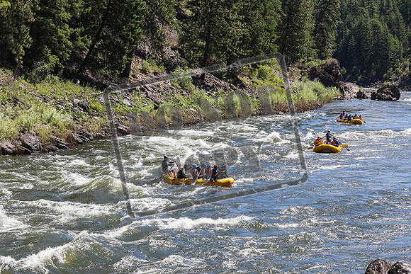 20240619-IMG_1770-2