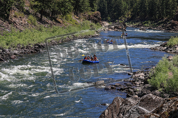 20250707-IMG_5515