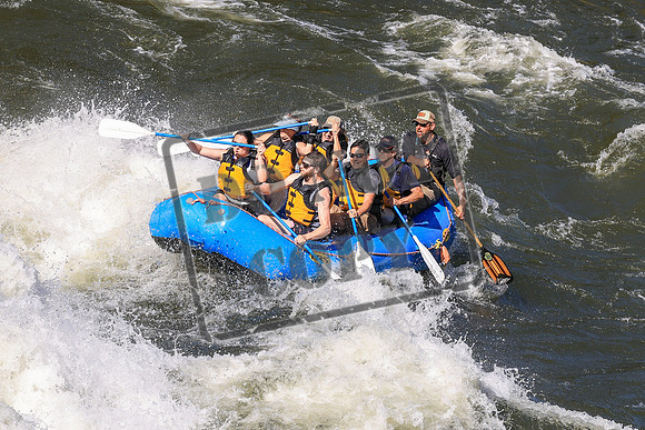 20250525-IMG_7092