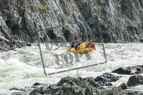 20250805-IMG_0552