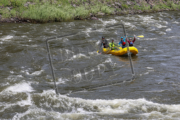 20240613-IMG_9073