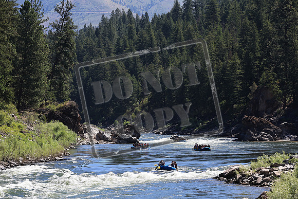 20220721-IMG_6561