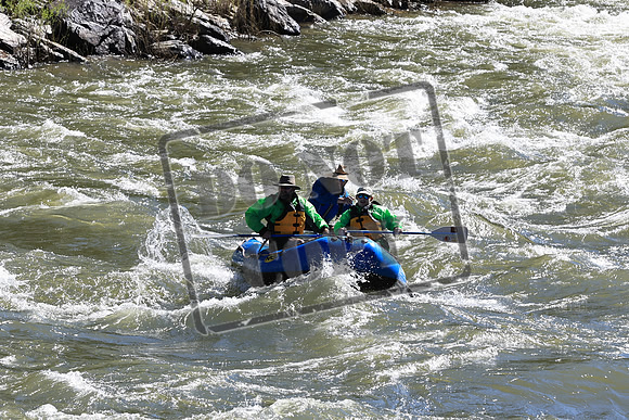 20220712-IMG_4476