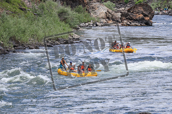20250706-IMG_2712