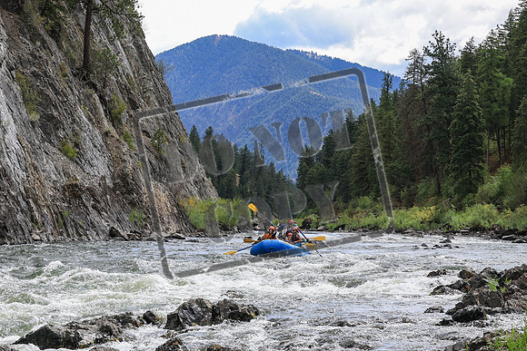 20250808-IMG_5099