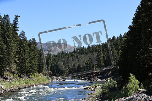 20220720-IMG_4545