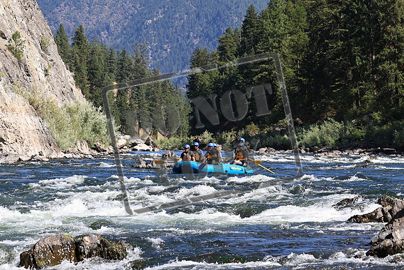 20220817-IMG_8862