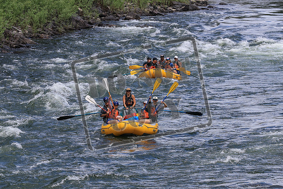 20250706-IMG_2715