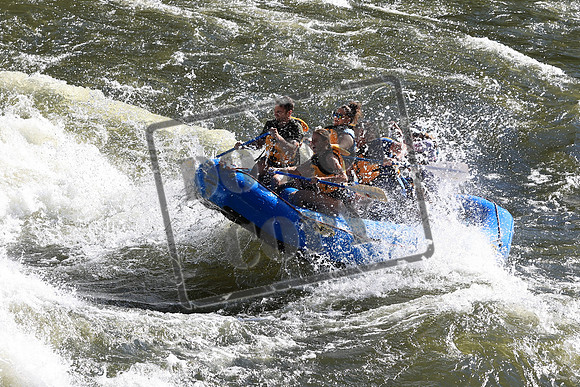20220709-IMG_7833