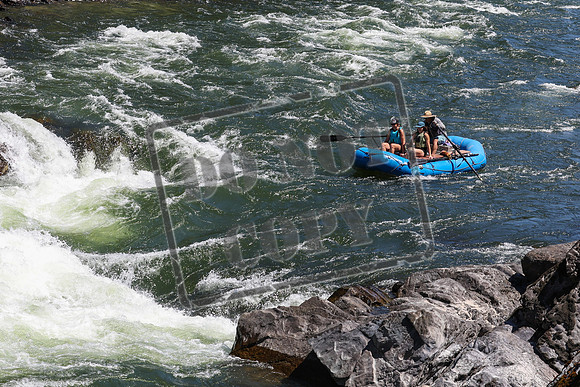 20240713-IMG_7136