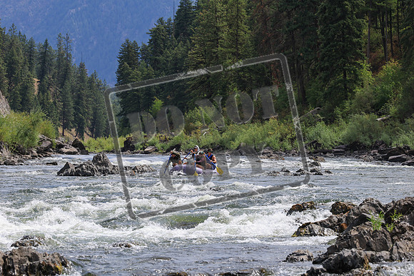 20250806-IMG_3365