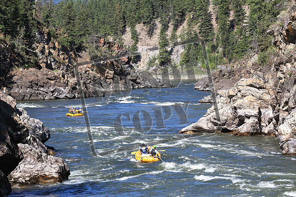 20220714-IMG_7365
