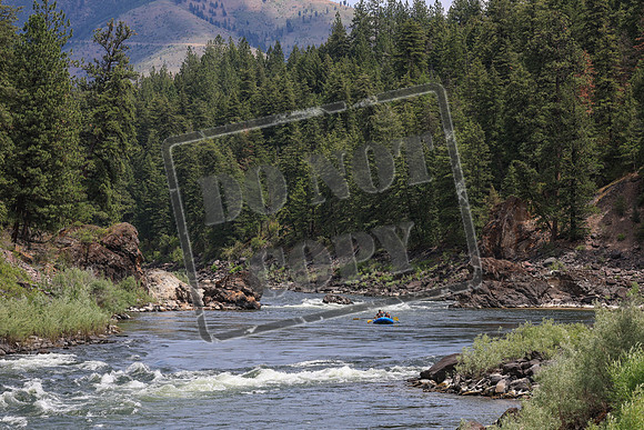 20250626-IMG_5636