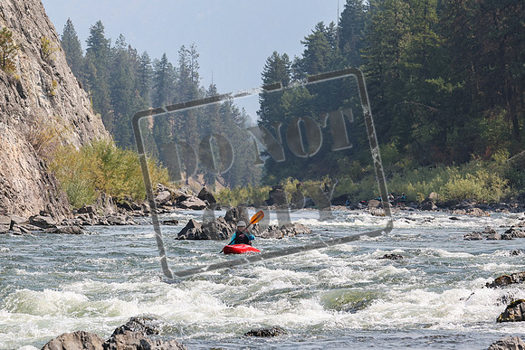 20240907-IMG_9886