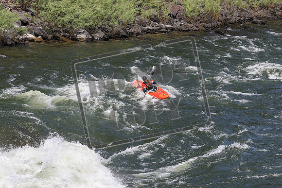 20250619-IMG_7012