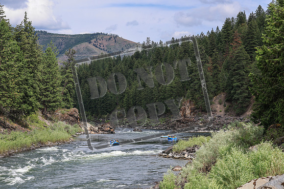 20250627-IMG_7556