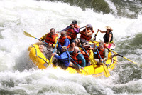 Raft 6