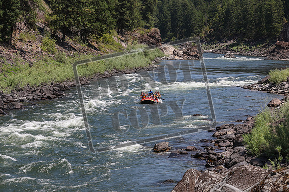 20240710-IMG_0569