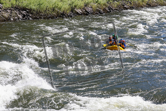 20240619-IMG_1654-2