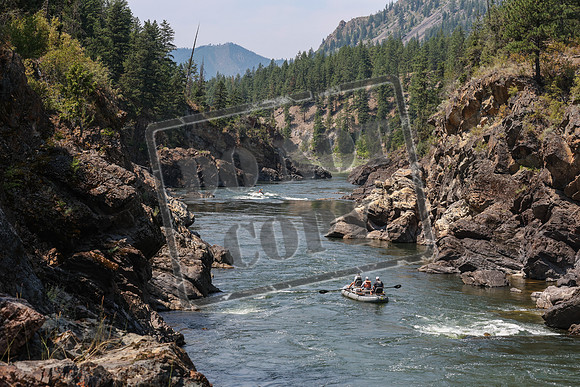20240717-IMG_8245