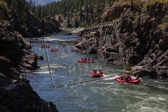 20240713-IMG_8267
