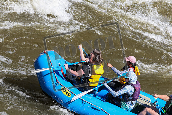 20240609-IMG_7390