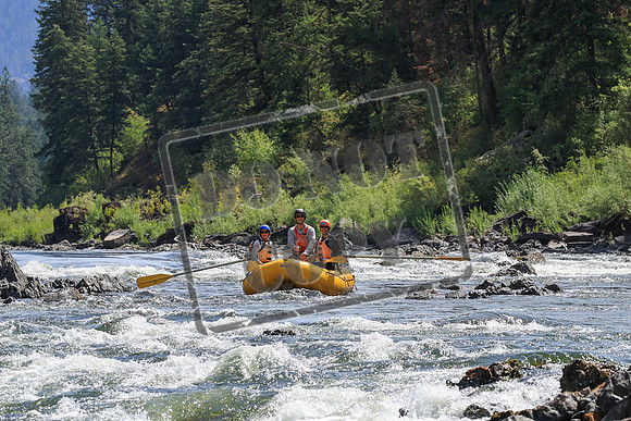 20250806-IMG_3281