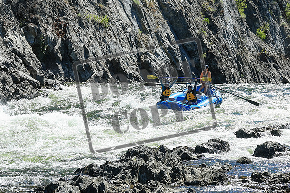 20250714-IMG_6000