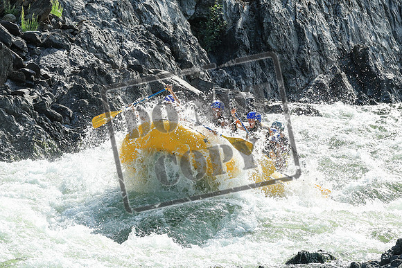 20250730-IMG_5694
