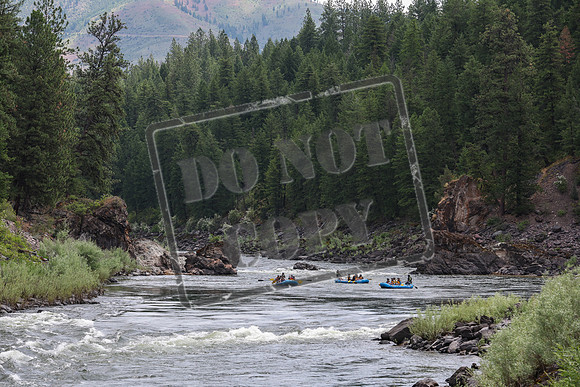 20240701-IMG_0595