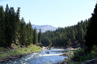 Raft 4